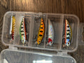 Lure set jerk baits 5 piece