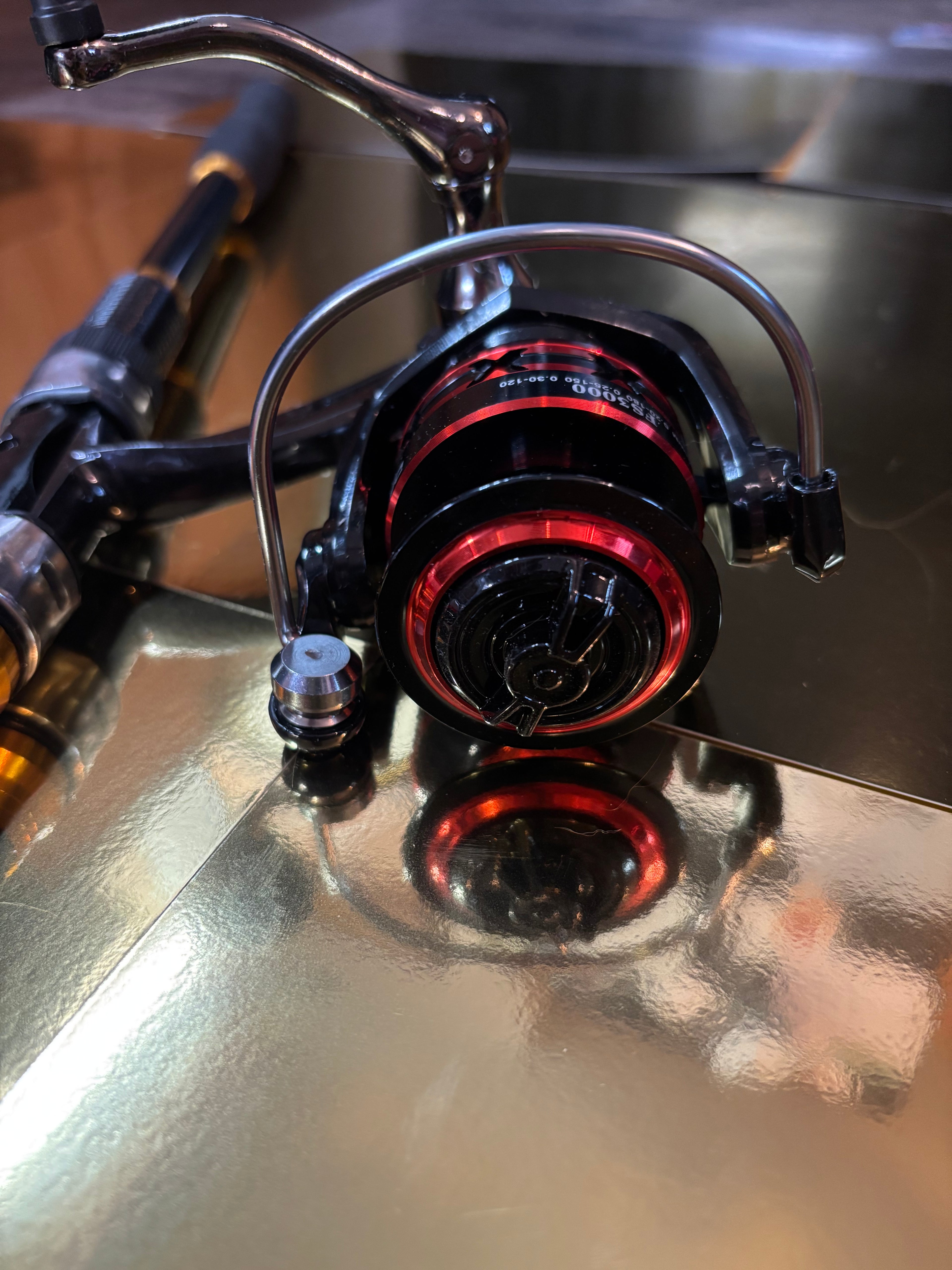 Fishing poles 2 pack set Gold Package deal