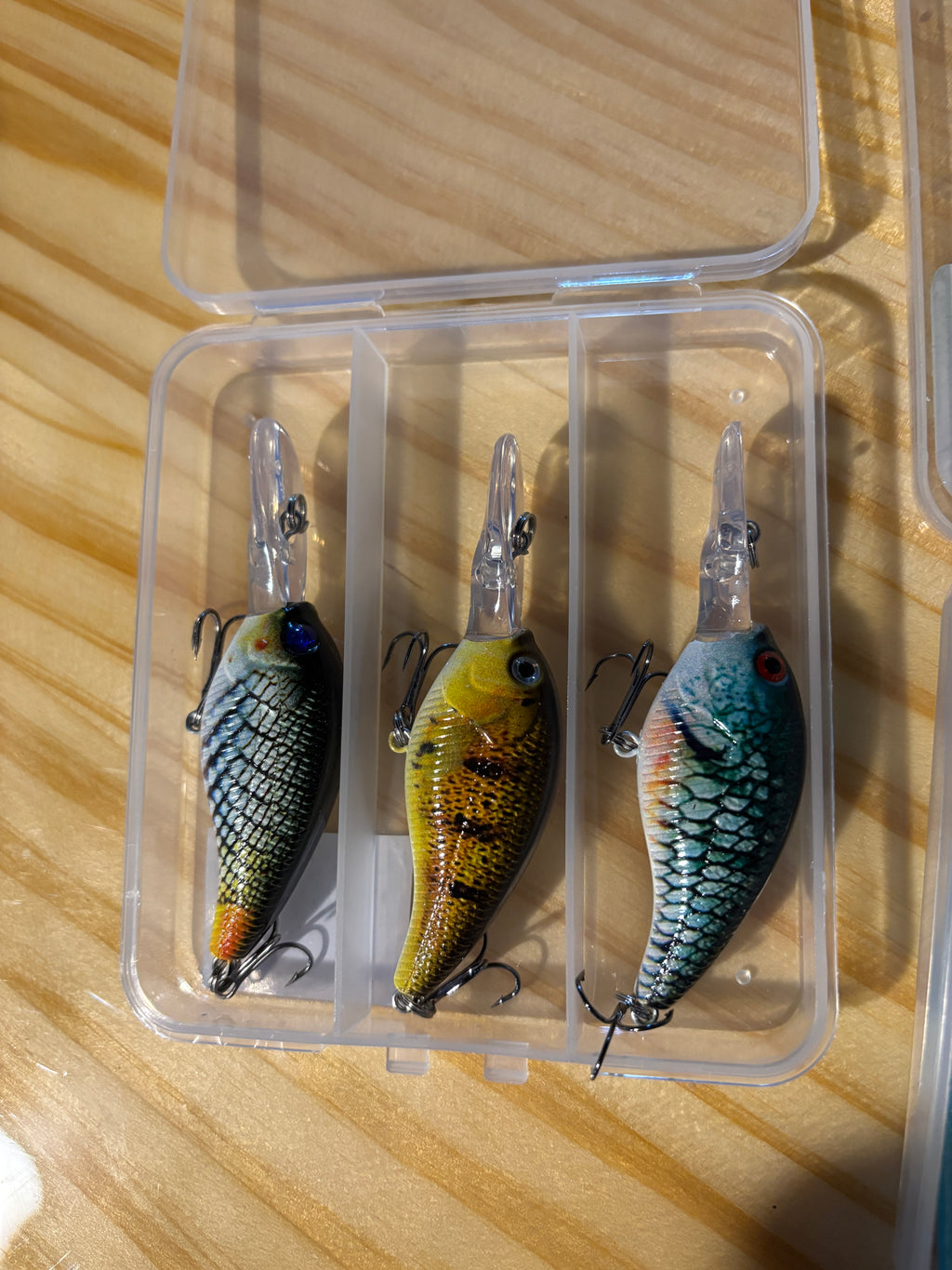 2 pack lure kit 6 pack