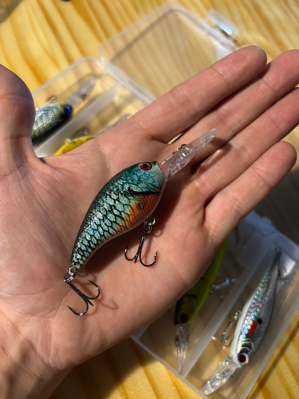 2 pack lure kit 6 pack
