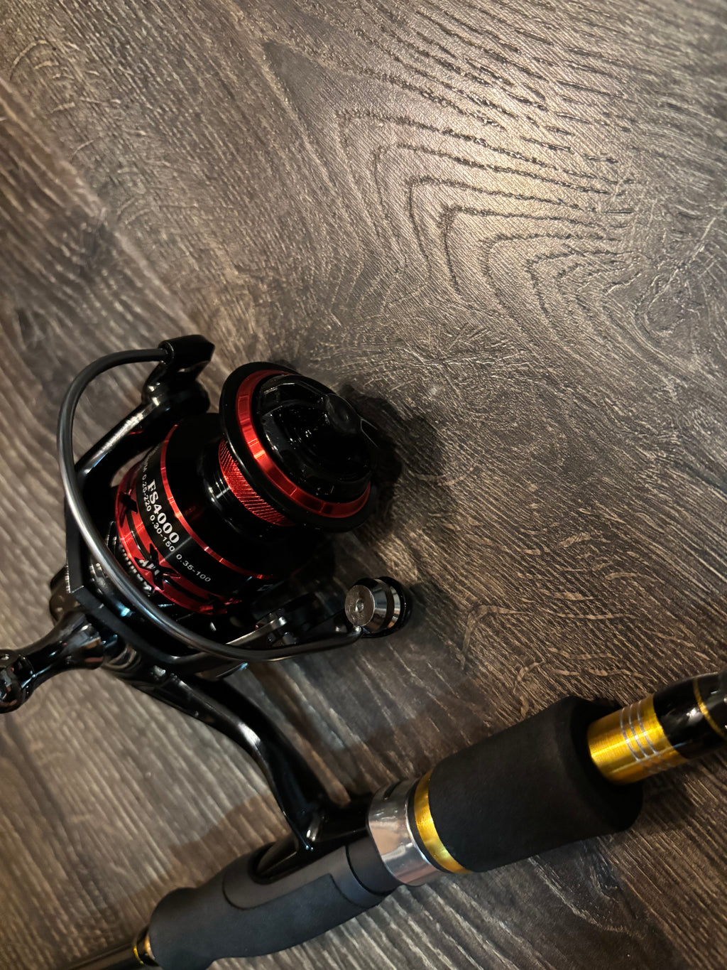 fishing rod and reel set with lures