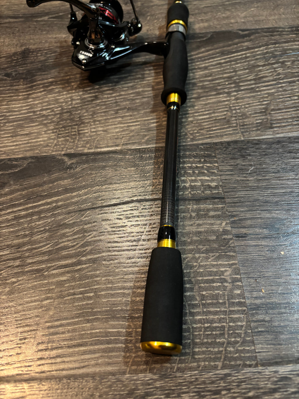 fishing rod and reel set with lures