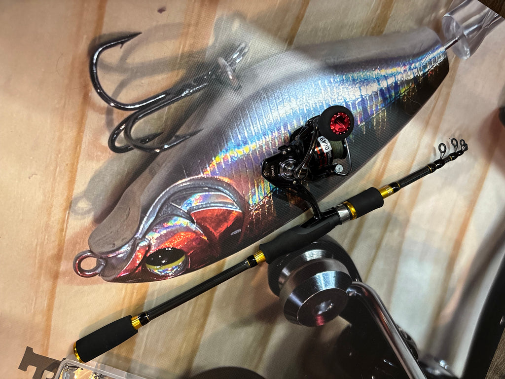 fishing rod and reel set with lures
