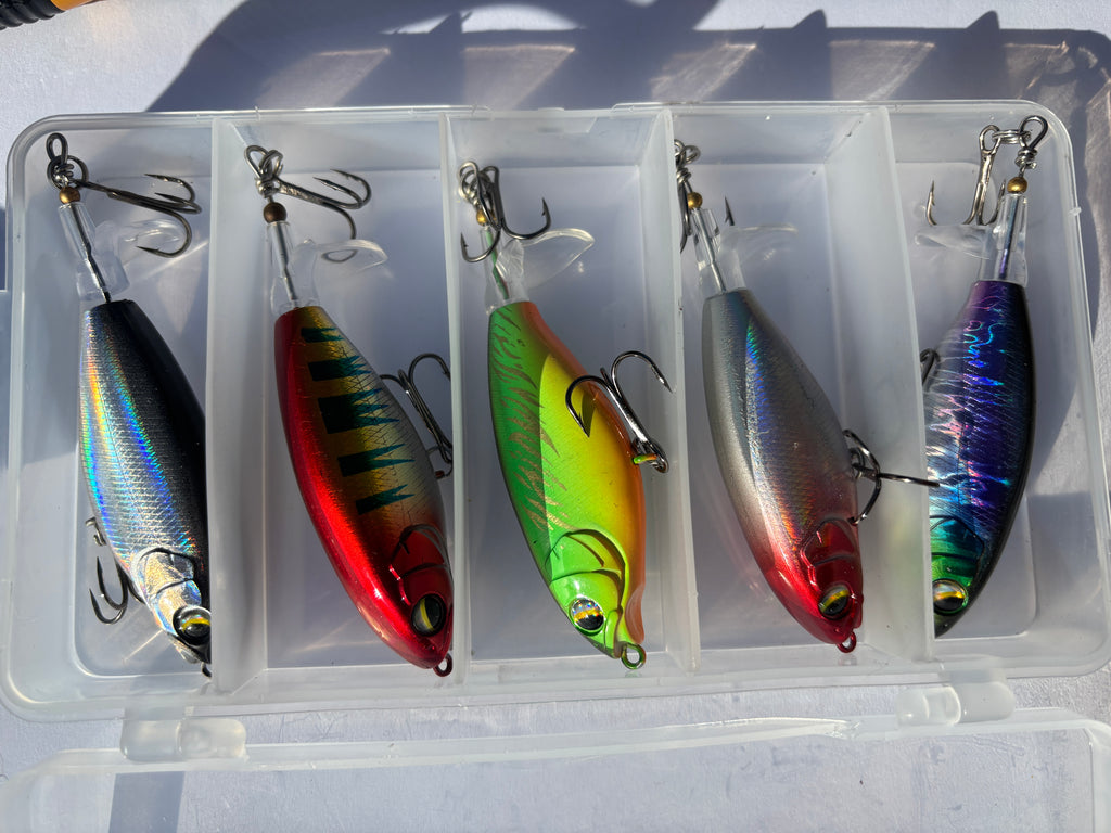 Fishing pole kit 2 pack set with lures